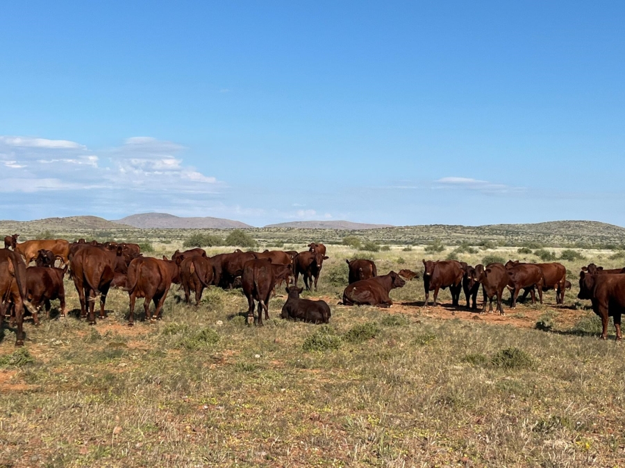 0 Bedroom Property for Sale in Upington Rural Northern Cape